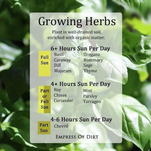 Herbs